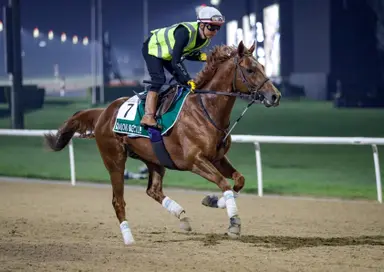 Japan: Regaleira tries to go back to back in Arima Kinen