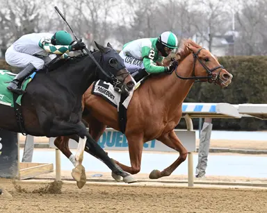 Kentucky Derby: Who's hot, who's not for Feb. 12, 2025