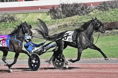 Pocono:  Andersson Hanover, I'm A Hugger shine in Simpson Memorial splits