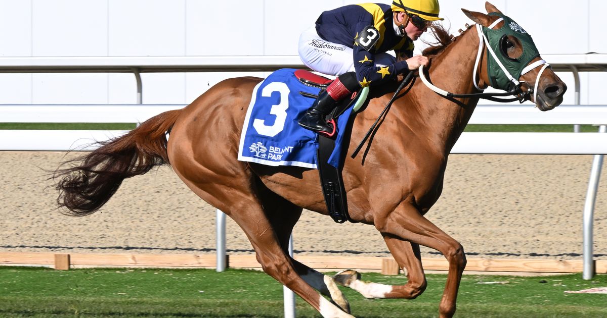 Ontario rebounds with upset in Athenia Stakes
