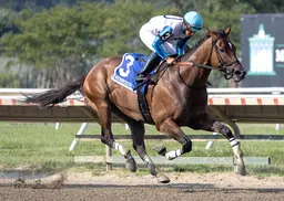 New Jersey-bred Book'em Danno comes through for the hometown crowd in Mr. Prospector