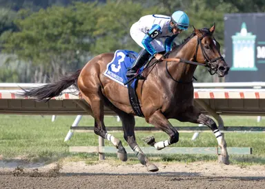 New Jersey-bred Book'em Danno comes through for the hometown crowd in Mr. Prospector