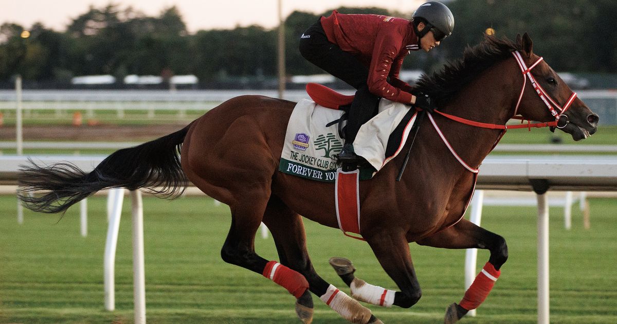 Forever Young might try for third Saudi Cup before retiring - Daily Racing Form