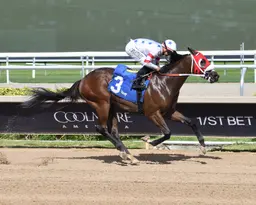 Sum of Success has no problem with Express Tour Stakes