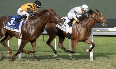 Charlie's to Blame the likely pacesetter in turf route
