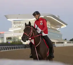 Forever Young gets first feel for Belmont ahead of Jockey Club Gold Cup