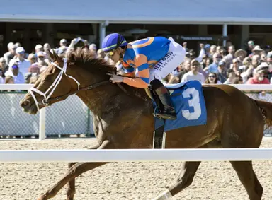 Pletcher has big week with plenty to look forward to