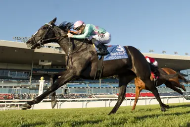 Olivia Rose holds off Regal Moment late to take Eternal Search