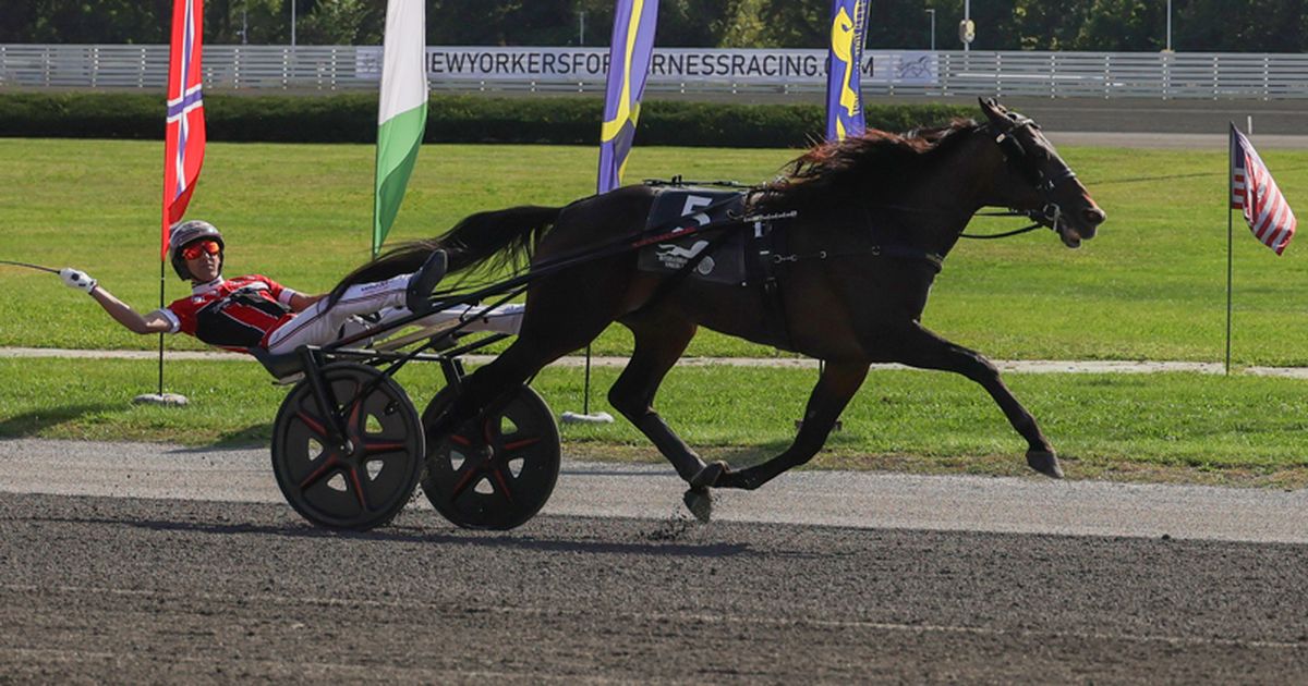 Yonkers: Super Chapter shines in International Trot