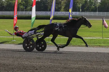 Yonkers:  Super Chapter shines in International Trot
