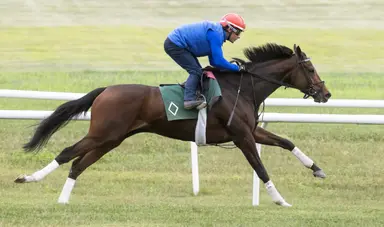Gezora's turf work pleases Mott