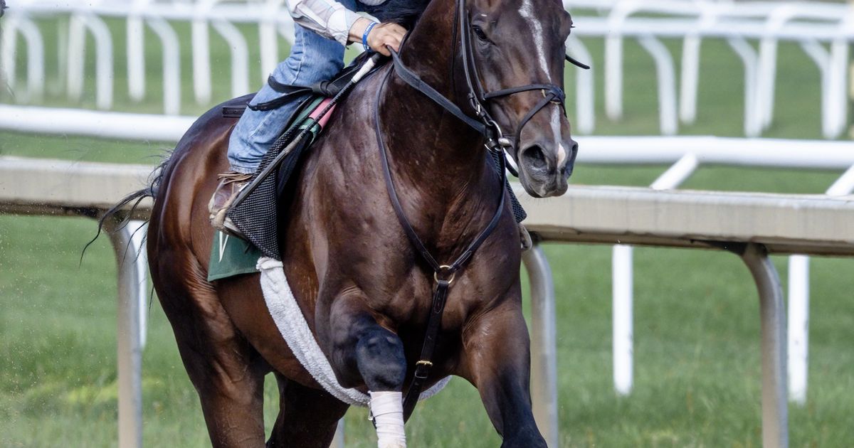 Mott says Sovereignty is ‘no better than 50-50' to make Jockey Club Gold Cup