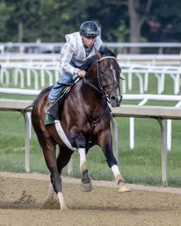 Sovereignty, Baeza work before Mott splits them up for Grade 1s