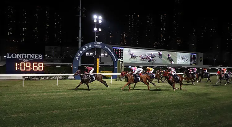 Happy Valley racing 2019