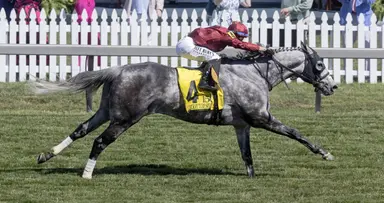 Trio of rivals get another rematch in Maryland Million Turf Sprint