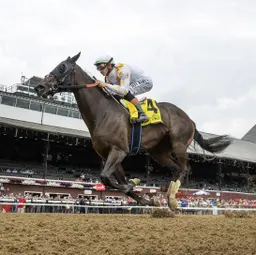 After roaring debut, Mashallah may finally be ready to step up in Prioress