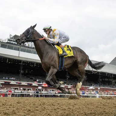 After roaring debut, Mashallah may finally be ready to step up in Prioress