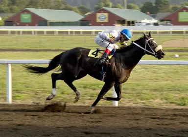 California Horse Racing Board denies requests for dates up north