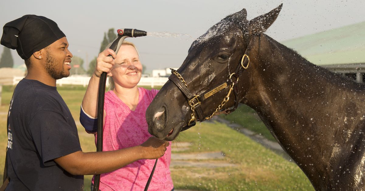 Daddy's Secret has what it takes to win from far outside