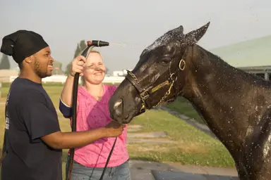 Daddy's Secret has what it takes to win from far outside