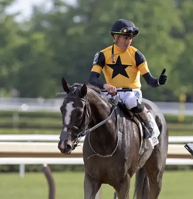 Ortiz returning for Alabama mount aboard Counting Stars
