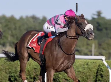 Merryman may ship Jean Valjean back to New York for Belmont Turf Sprint