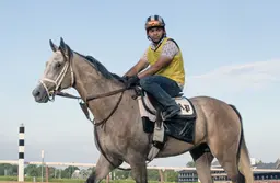 Ted Noffey possible for Dwyer