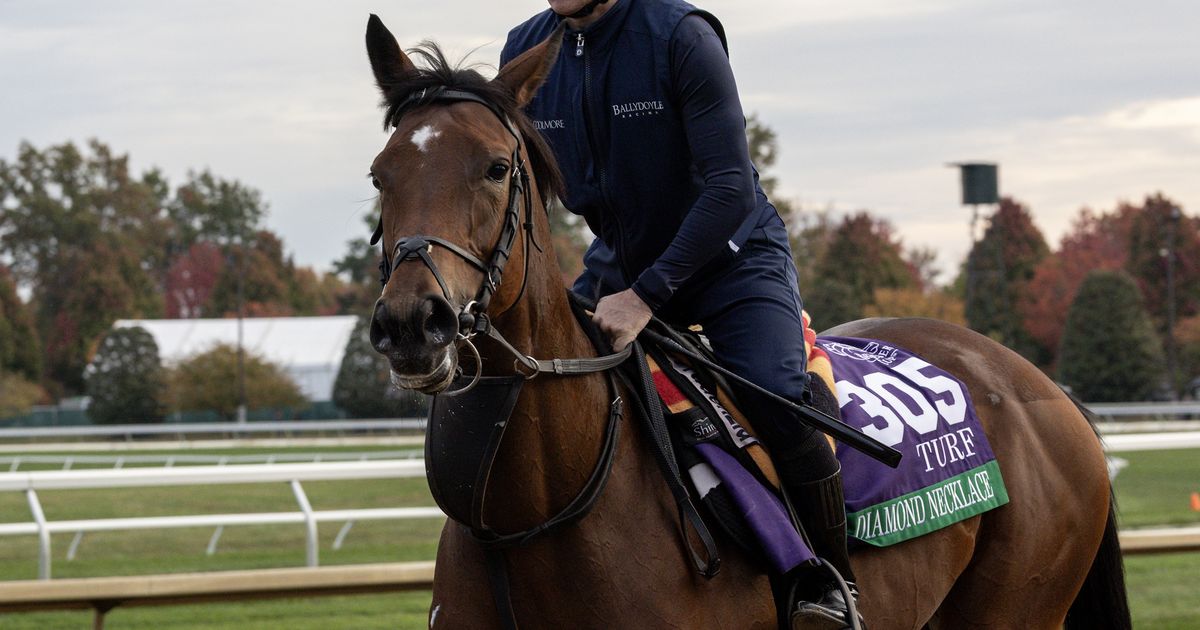 Breeders' Cup Turf: Foreign talent should feast on the locals