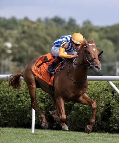 Attfield back on work tab; might run on dirt