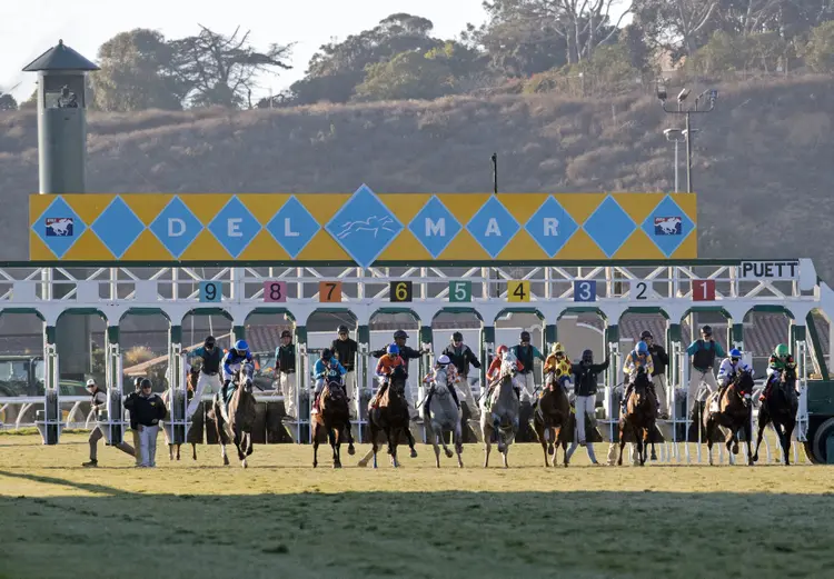 Del Mar.Scenic02.11-17-24.BL_.jpg