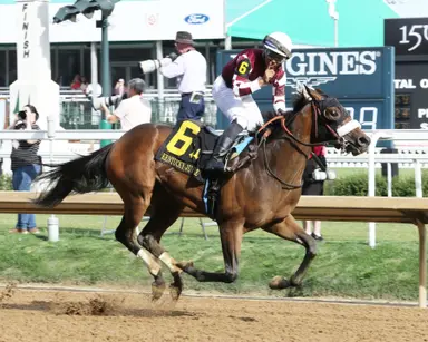 West Memorial looks to continue success for freshman sire Caracaro