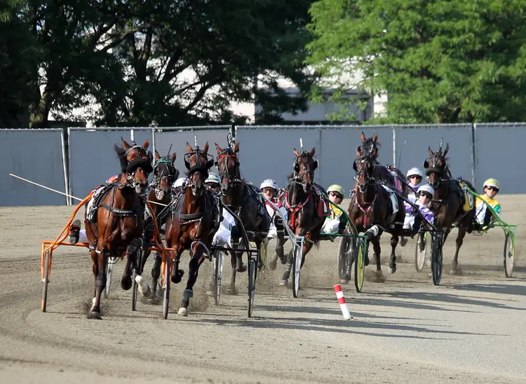 Harness racing