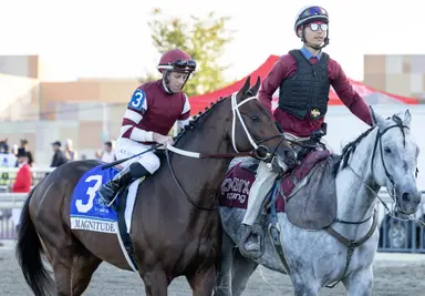 Magnitude on track for 4-year-old debut in Saudi Cup