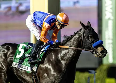 Splendora heavily favored to win fifth straight in Beholder Mile