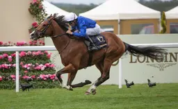 Royal Ascot 2026: Ombudsman dazzles with historic repeat in Prince of Wales's Stakes