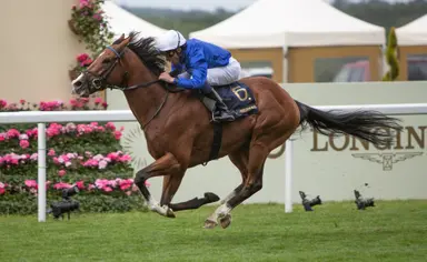 Royal Ascot 2026: Ombudsman dazzles with historic repeat in Prince of Wales's Stakes