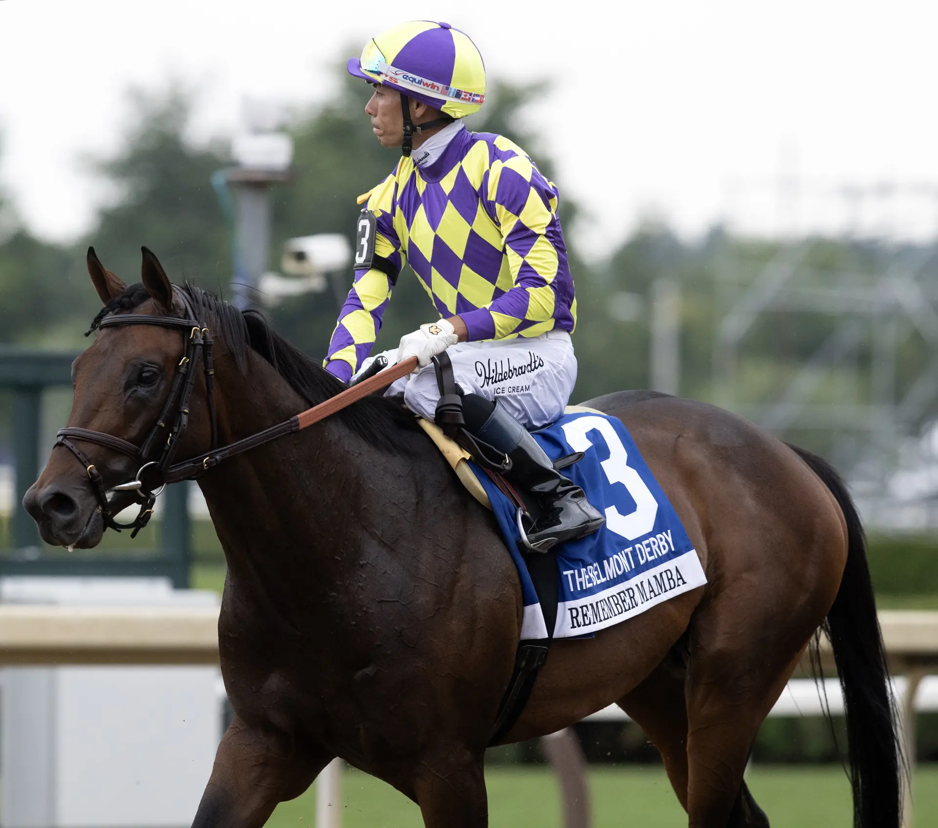 DeVaux hopes to continue blinkers trend with Remember Mamba in Bryan Station