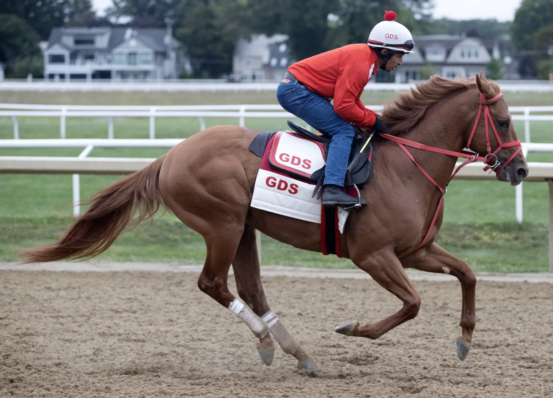 The Puma breezes easy half-mile for Pennsylvania Derby