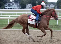 The Puma breezes easy half-mile for Pennsylvania Derby