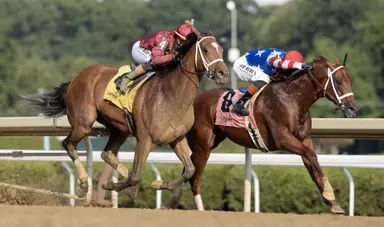 Scratch of Book’em Danno leaves Forego a wide-open race