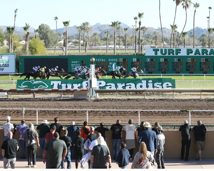 Turf Paradise Scenic01.11-26-22.CO_.jpg