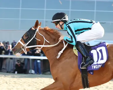 Trainer Rivelli involved in sale of Two Phil's