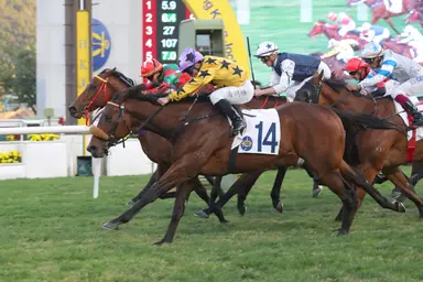 Ricky Yiu holds high hopes for Dragon Joy