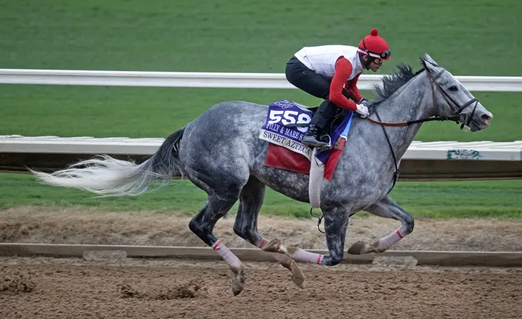 Sweet Azteca03.10-25-25.BL