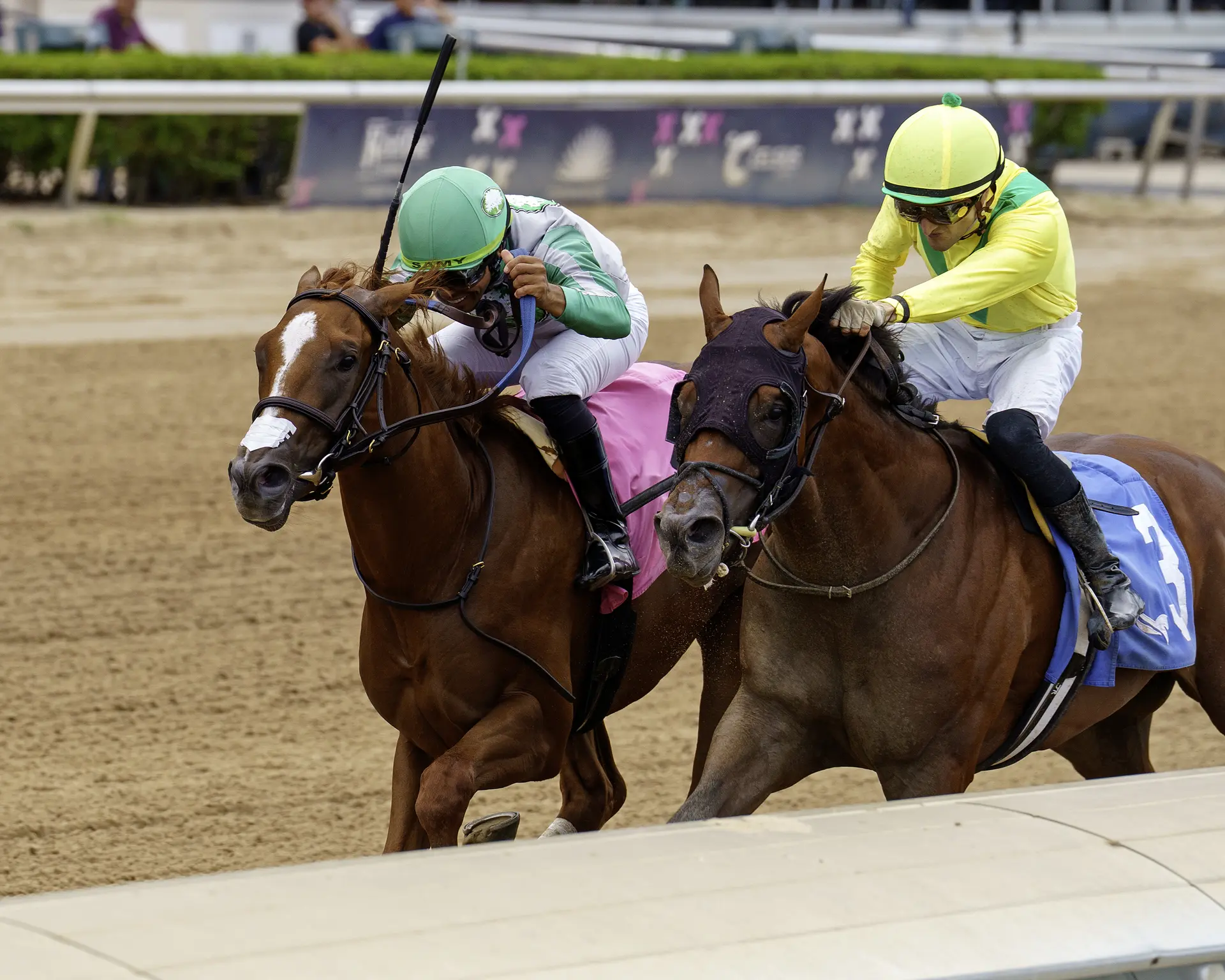 Watson outsteps Gaelic Legacy in Proud Man Stakes