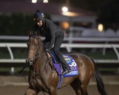 Baffert giving Litmus Test the acid test in bid for ninth Rebel victory