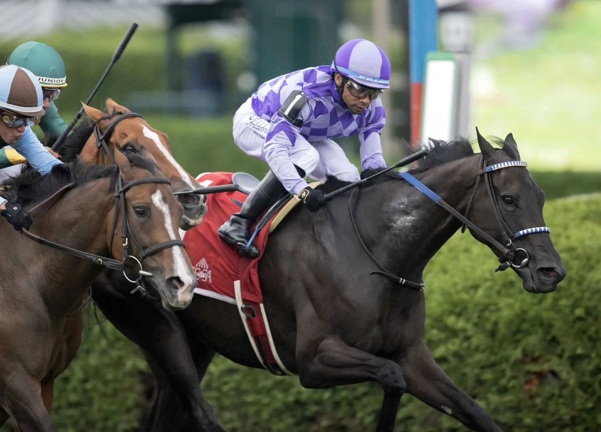 Midnight Concerto, Franco win the bob in Yaddo Stakes