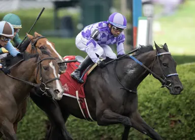 Midnight Concerto, Franco win the bob in Yaddo Stakes