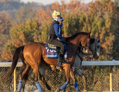 Breeders' Cup Juvenile: Baffert, Pletcher well positioned to add to dominance