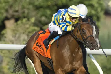 Tiller searching for a special win with Go Kart Mozart in Pink Lloyd